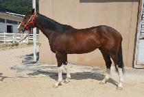 ���׻轺 (RUNNING SOCKS) ����