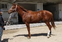 �����̾߱� (CHUKJE IYAGI) ����