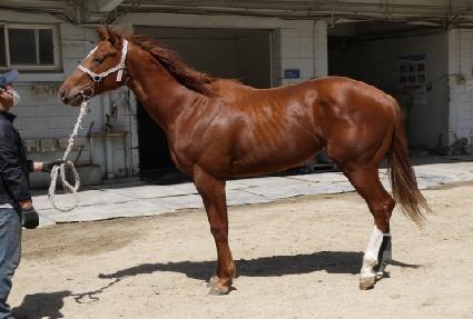 �����̾߱� ����