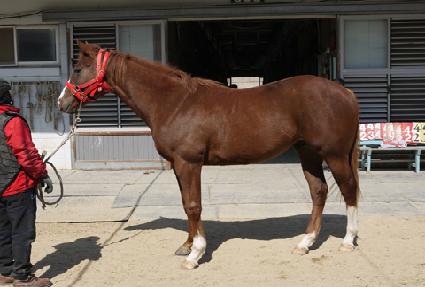 ���Ǽ��� ����