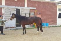 ����ǽ��� (DAEYANGUI SIMJANG) ����