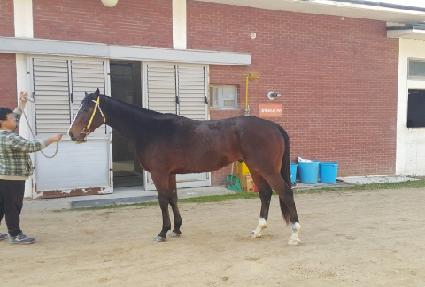 ����ǽ��� ����