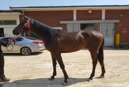 ���̽��ڸ��� ����