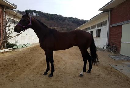 ŷ���꿡�̽� ����