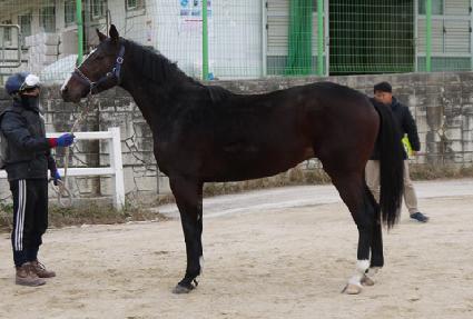 ������� ����