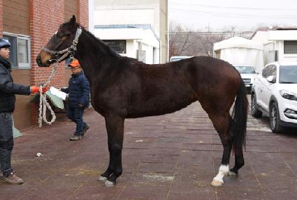 �޴Ϻ����̵� ����