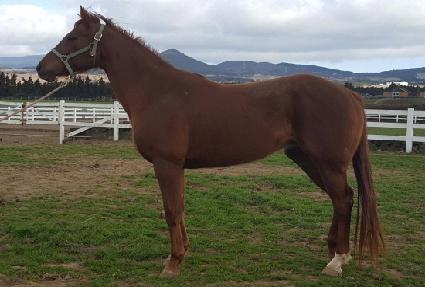 �̵���׹�Ʈ ����