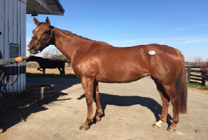 ��Ƽ��Űư ����