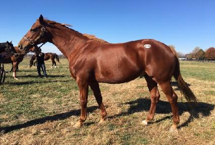 ���̴��̳ʽ�Ƽ ����