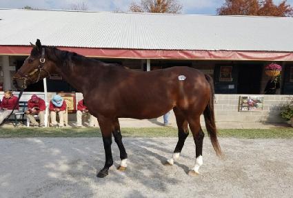 �̽������ɽ� ����