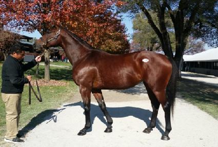 ���� ����