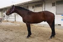 ���罺ī�� (MARU SKY) ����