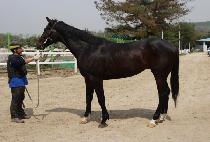 Ƽ������Ƽ (TIZ QUALITY) ����