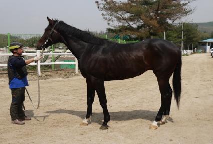 Ƽ������Ƽ ����