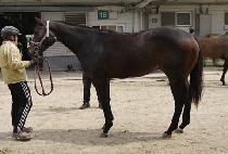 �ٴ�ġ�� (BADA CHIEF) ����