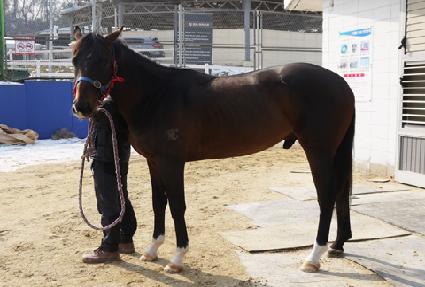 �Ƹ��Ͻ� ����