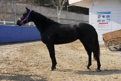 ��պ�Ʈ ����