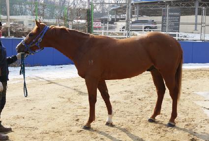 �������޸� ����