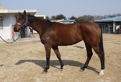 ���������� ����