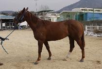 �¸���� (SEUNGNI GIEOK) ����