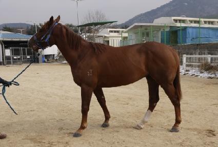 �¸���� ����