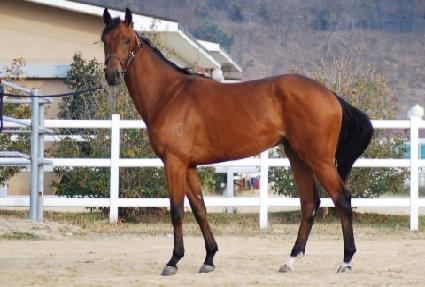 ��Ʈ���̾� ����