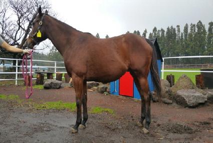 ĥ��ư ����