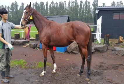 Ƽ��Ʋ��ġ ����