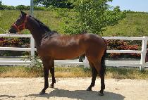 �������� (NARIN NARAE) ����