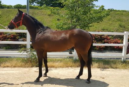 �������� ����