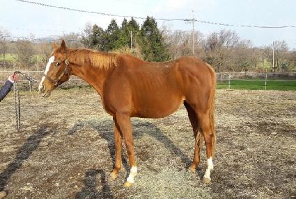 Ȩ����Ȧ�������� ����