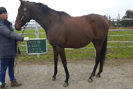 �޽��ξ�巹�� ����