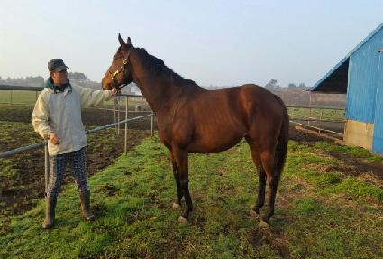 ��������������Ʈ ����