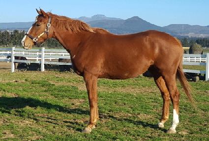 ���� ����