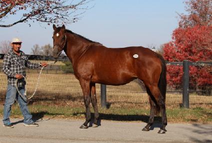 Ŭ�����ŷ ����