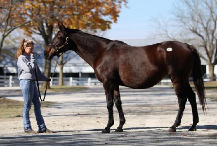 �𼿶� ����