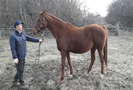 �����ΰ�������Ʈ ����