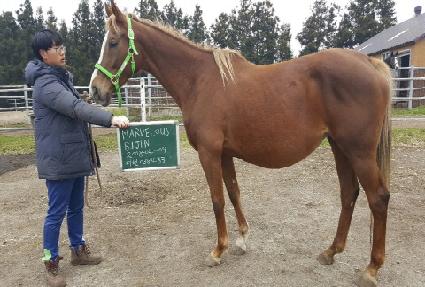 ������������ ����