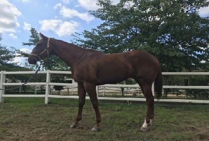 ��ʸ������� ����