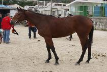 GYEONGGUKJIMA picture