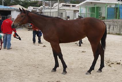 �汹���� ����