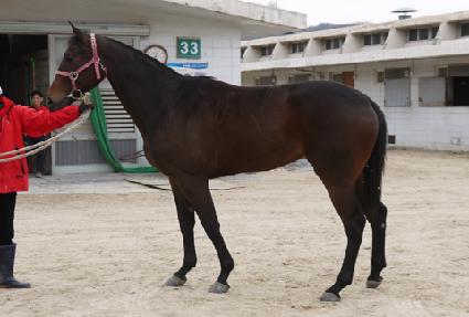 ������ġ ����