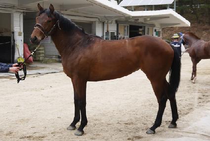 õ�Ͽ��� ����