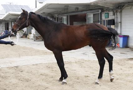 ŷ�� ����