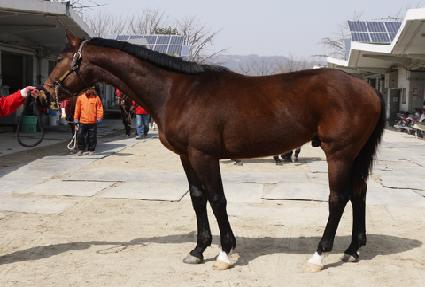 �ϴ����޸��� ����