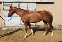 �̽����мǵ� (MR. FASHIONED) ����