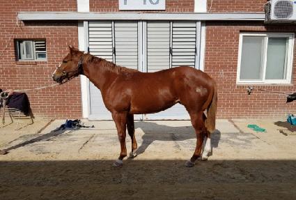 ����Ǯ���� ����