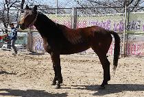 ������Ƽ (HIGH PARTY) ����