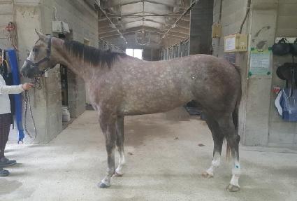 ������Ʈ���� ����