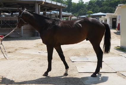 ŷ�����̱� ����